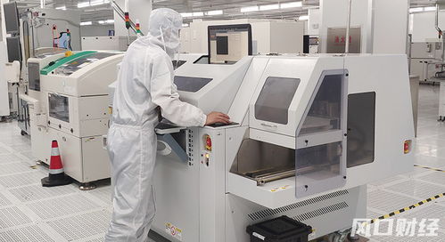 青股速遞 青島兩家 爾系 企業(yè)共闖ipo,細(xì)分賽道龍頭越來(lái)越受資金認(rèn)可